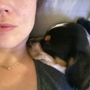 Meet your Posher, Cecelia